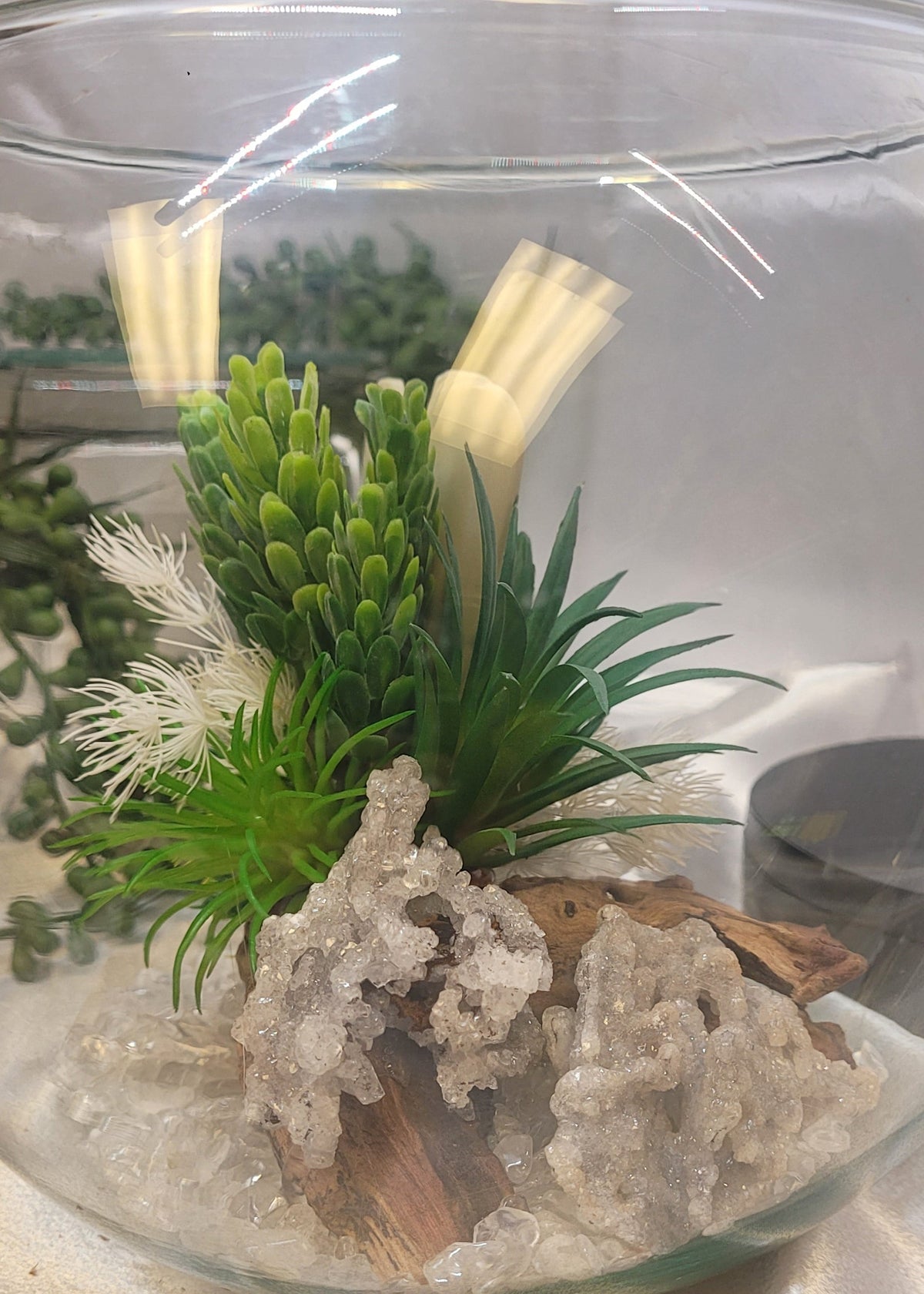 Bloom & Stone botanical crystal terrariums, cloches and glass displays