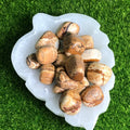 Picture Jasper Tumble Stone