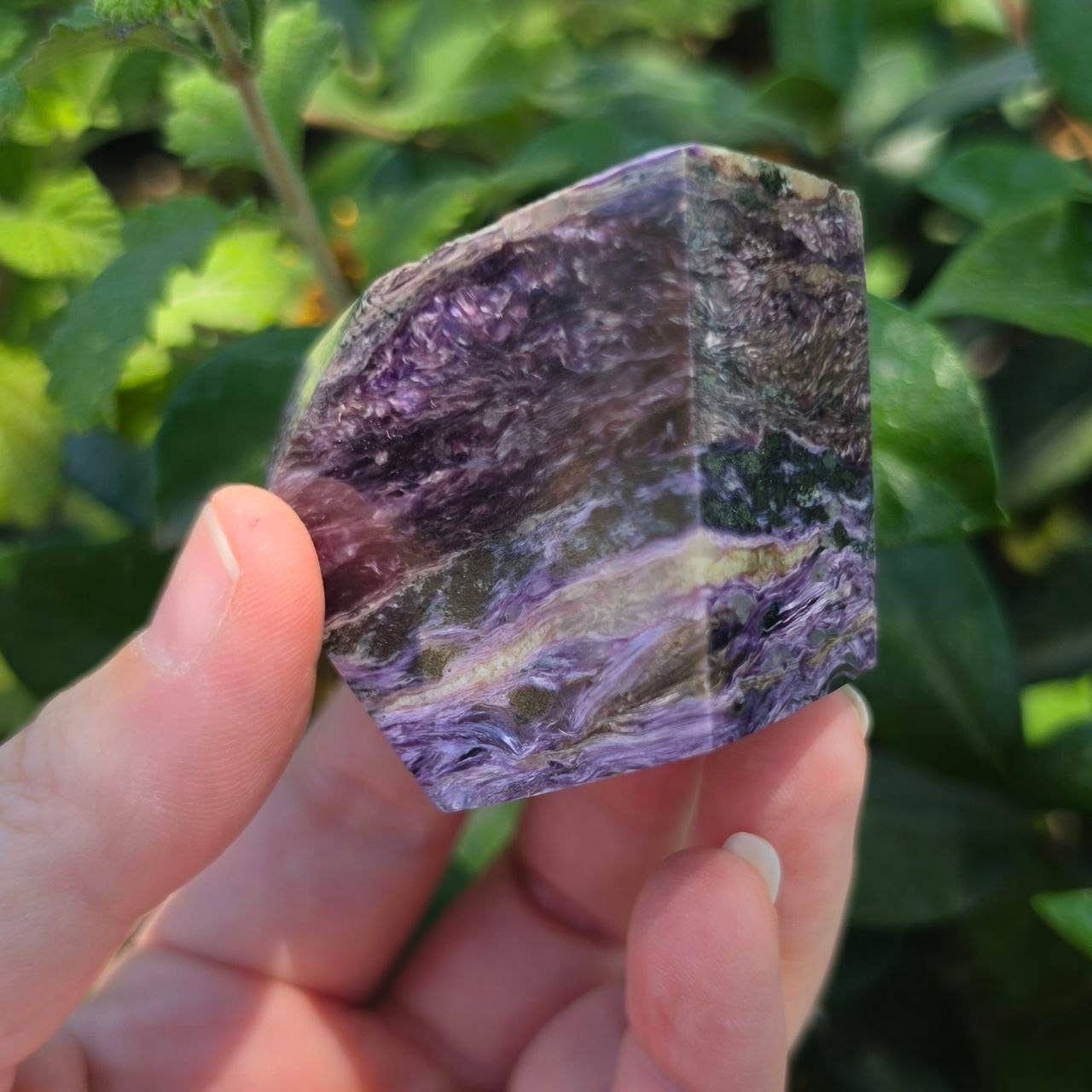 Charoite Freeform | UV Reactive