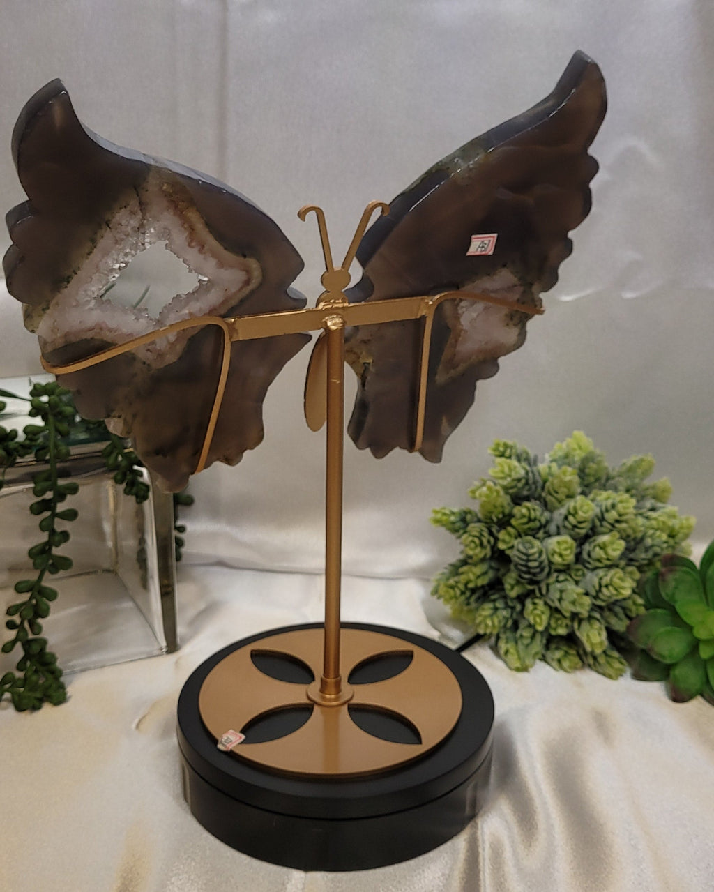Druzy Agate Large Butterfly Wings on stand