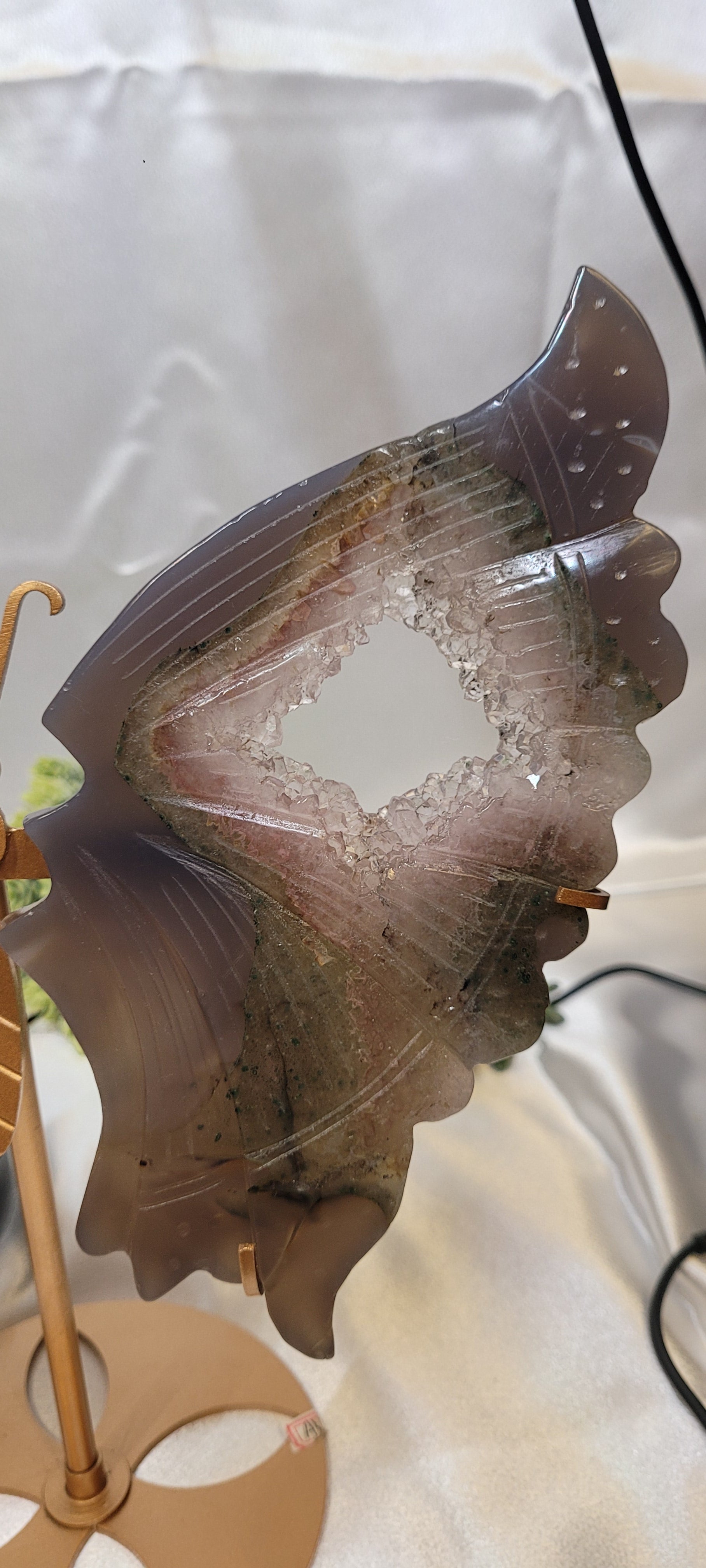 Druzy Agate Large Butterfly Wings on stand