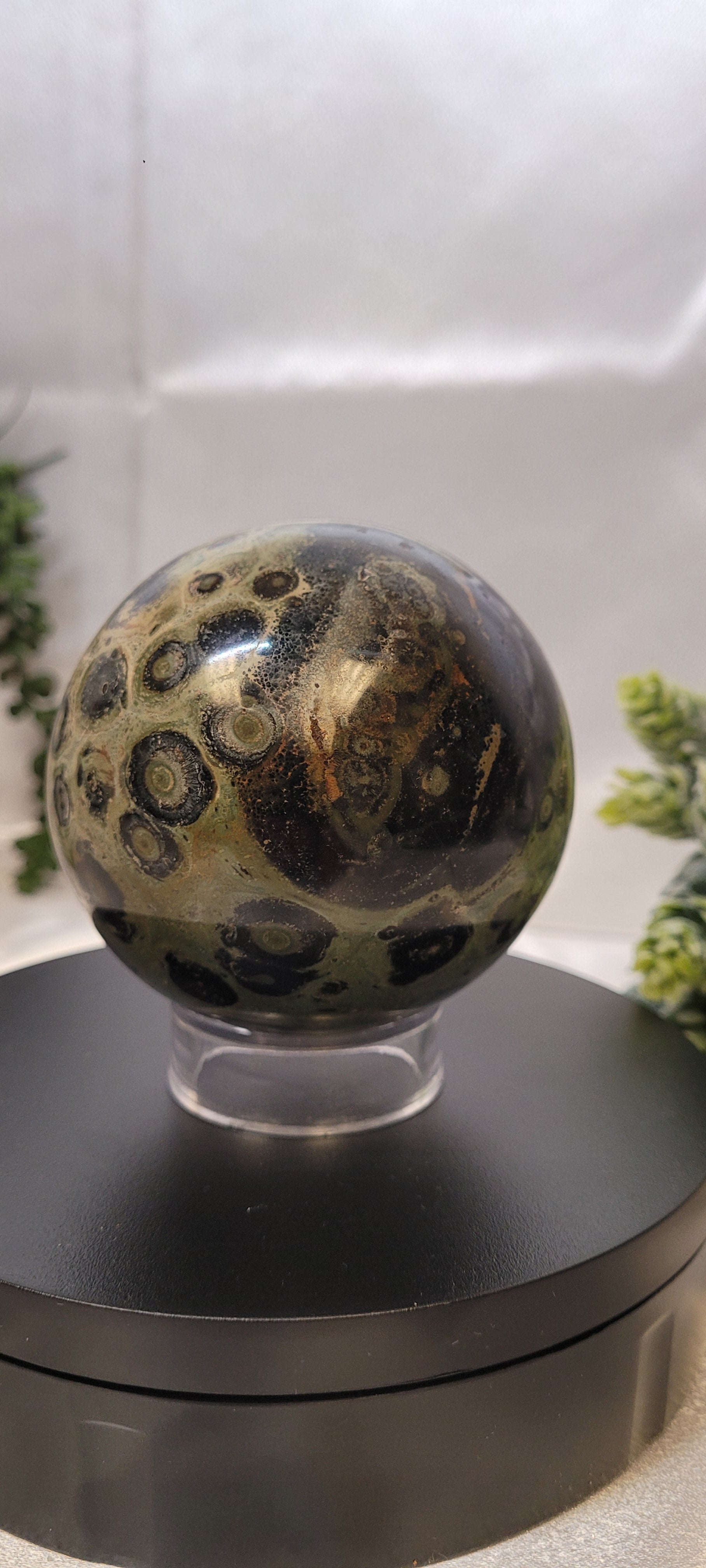 Kambaba Jasper Sphere ~The Moss Eclipse •