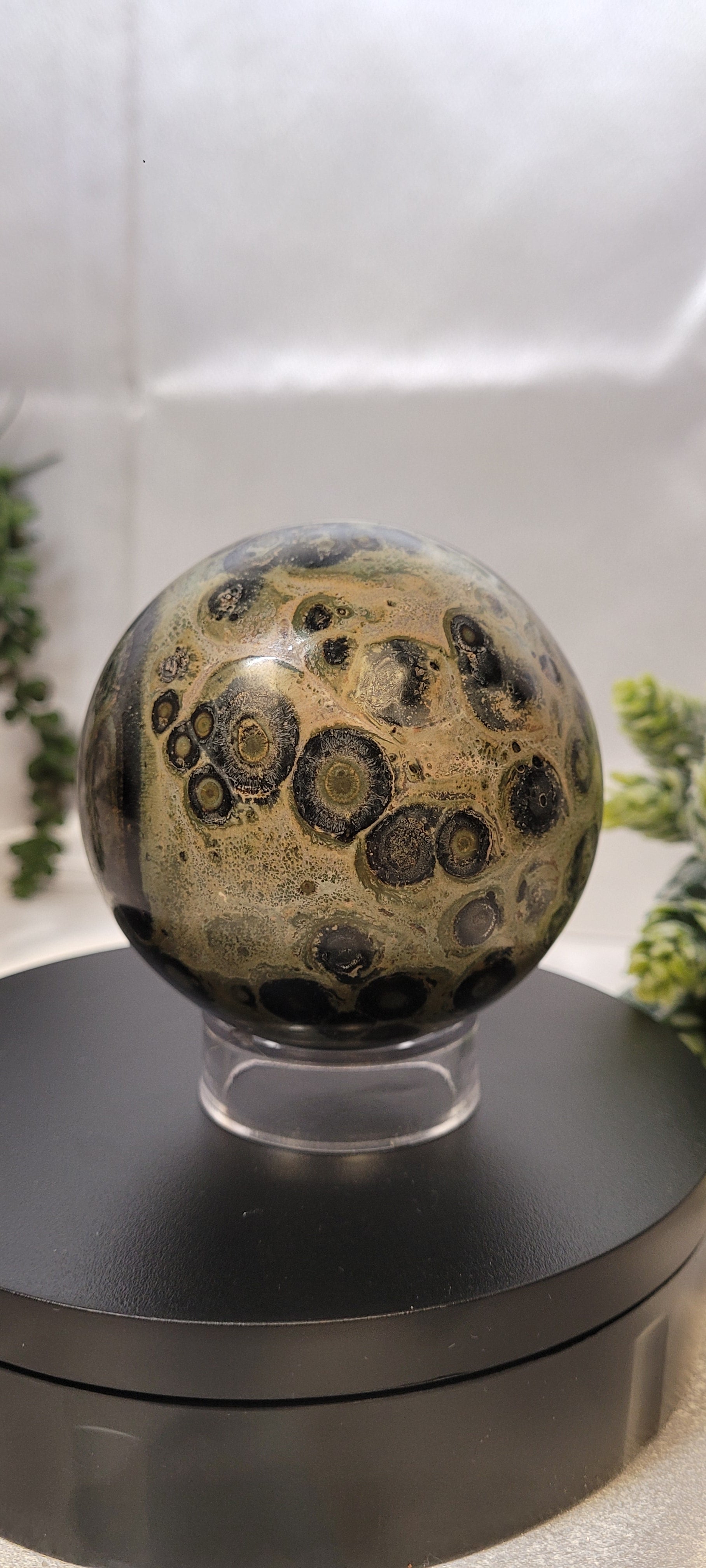 Kambaba Jasper Sphere ~The Moss Eclipse •