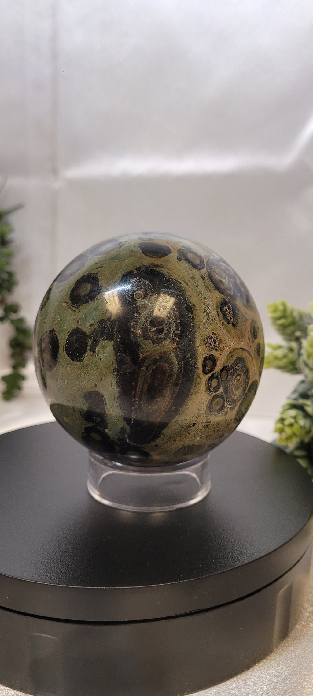 Kambaba Jasper Sphere ~The Moss Eclipse •