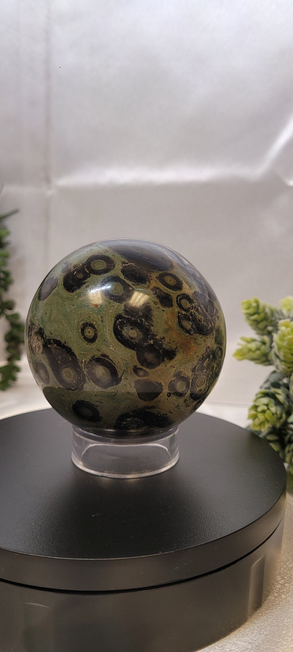 Kambaba Jasper Sphere ~The Moss Eclipse •