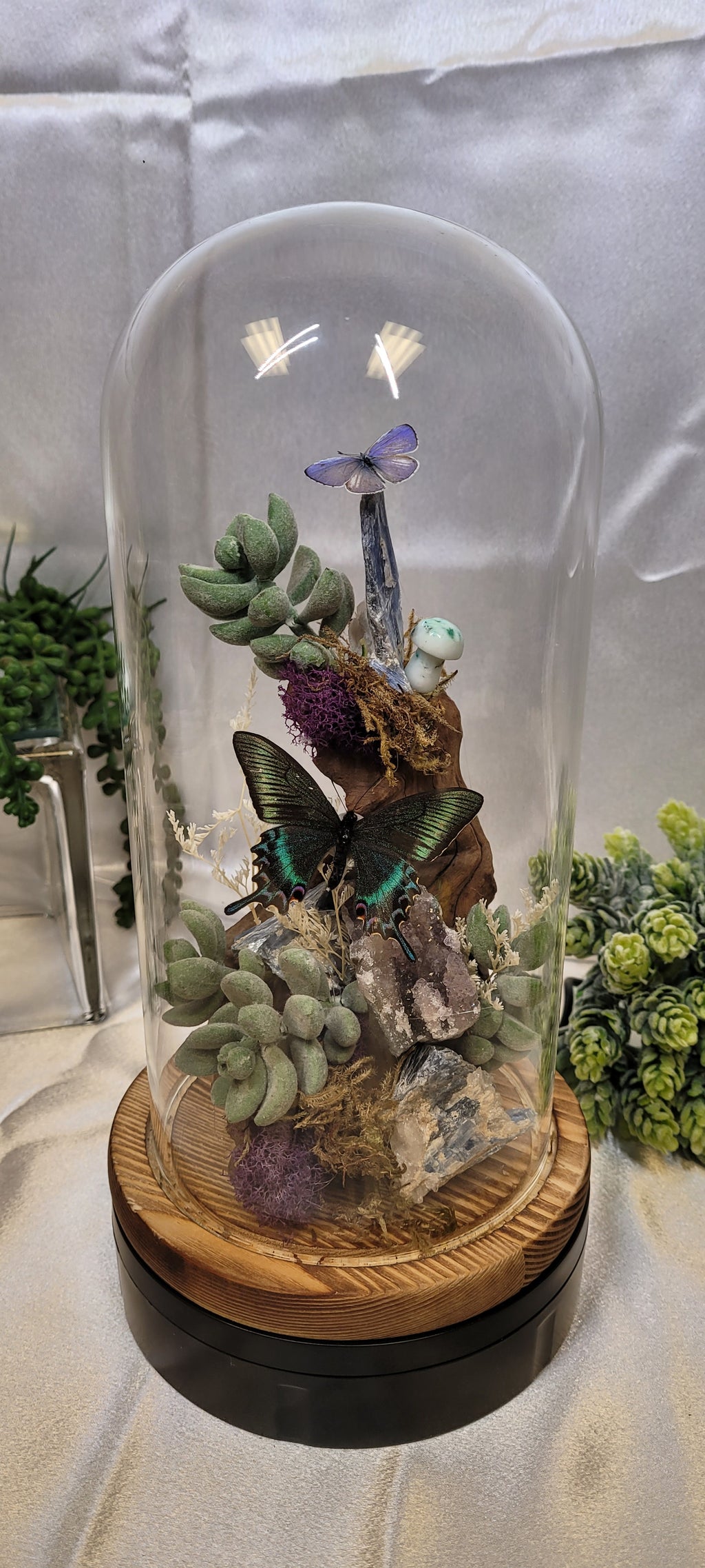 The Twilight Conservatory • Crystal Butterfly Bell Jar