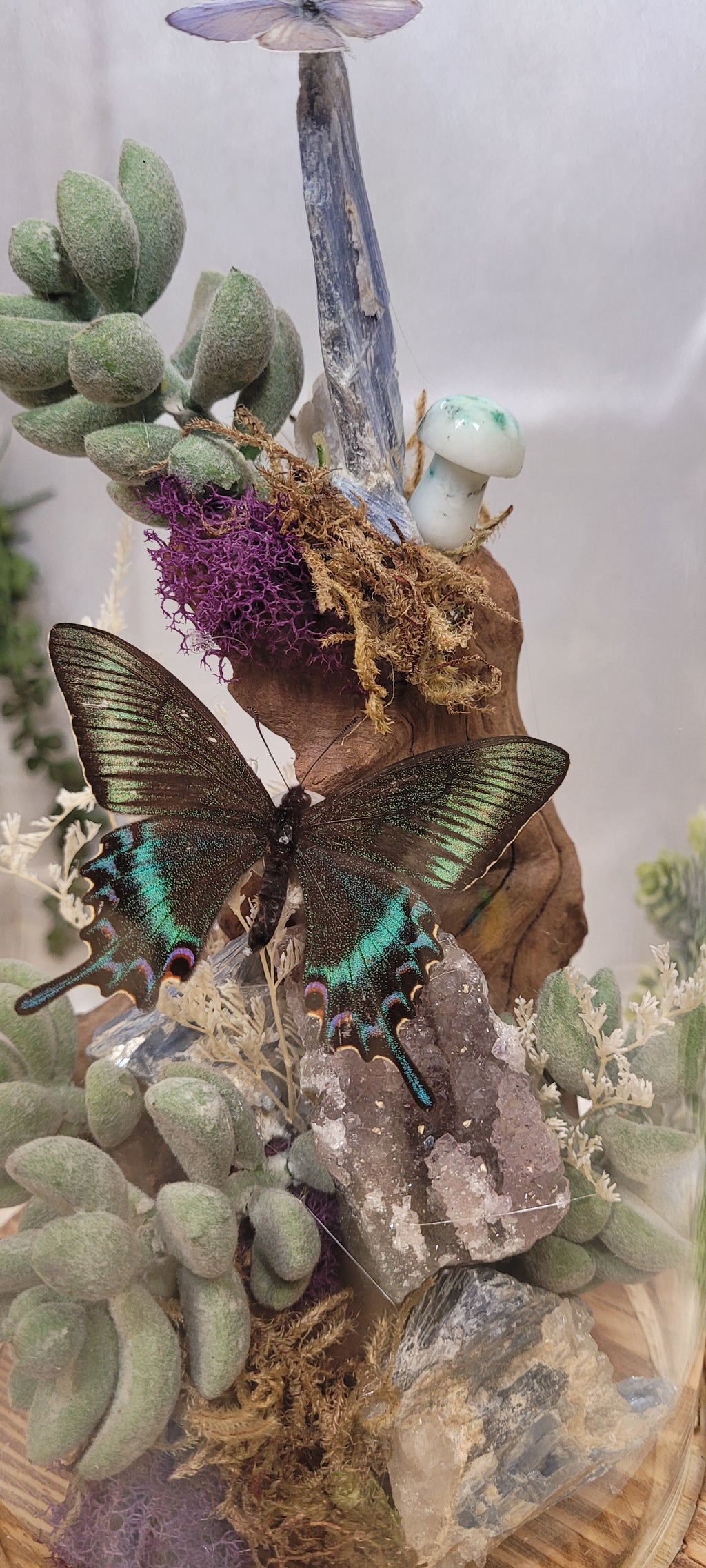 The Twilight Conservatory • Crystal Butterfly Bell Jar