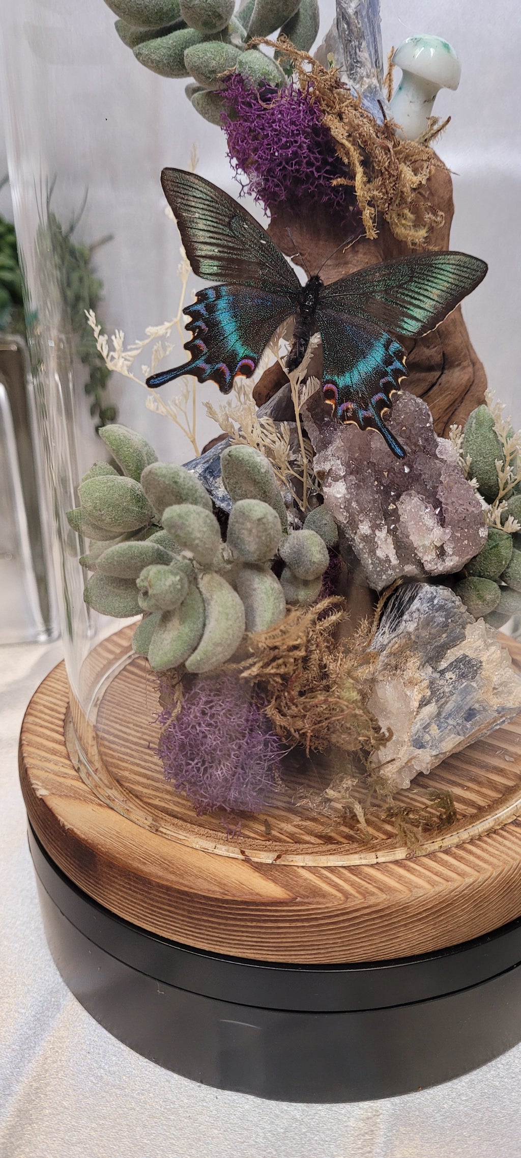 The Twilight Conservatory • Crystal Butterfly Bell Jar