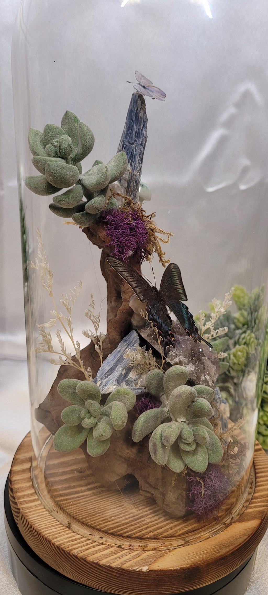 The Twilight Conservatory • Crystal Butterfly Bell Jar