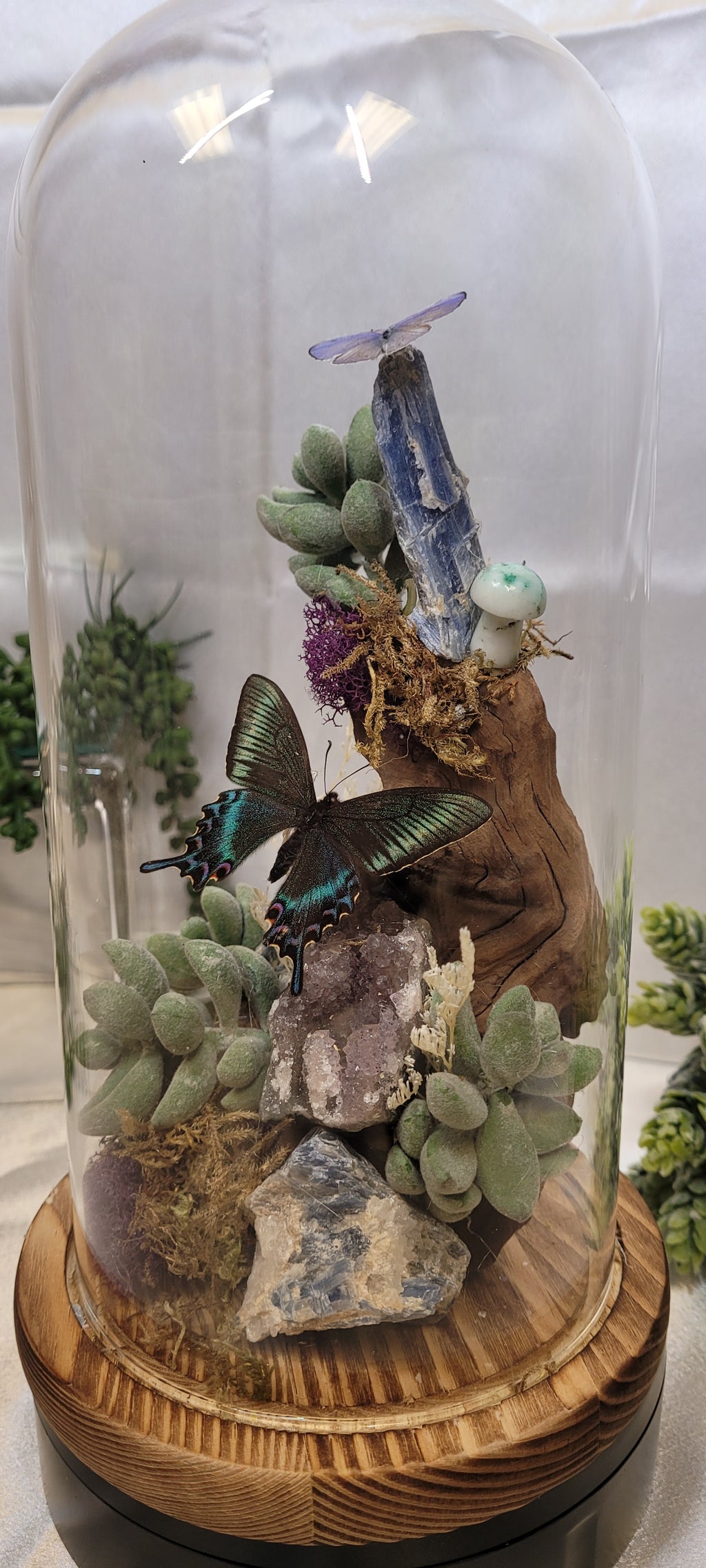 The Twilight Conservatory • Crystal Butterfly Bell Jar