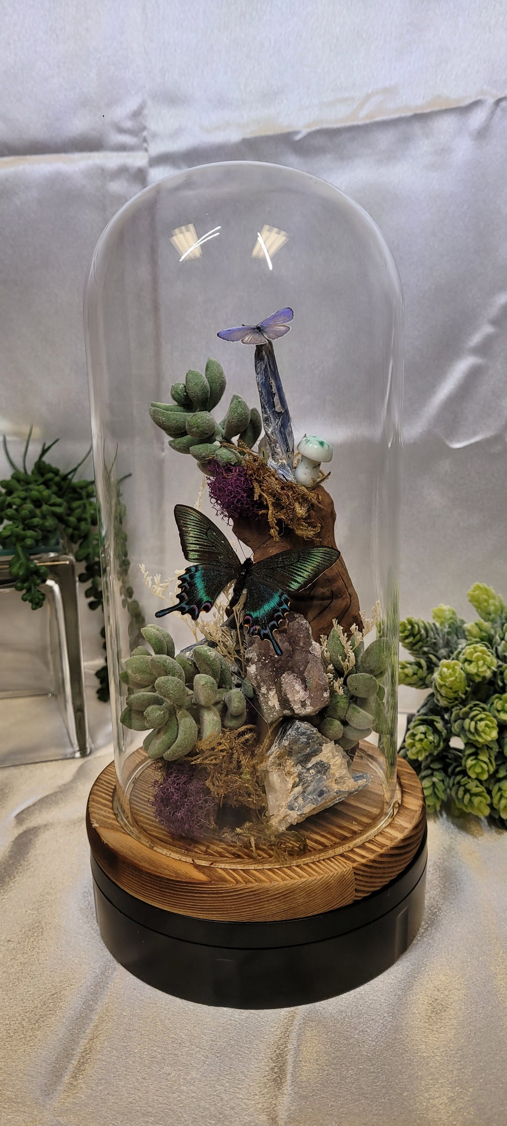 The Twilight Conservatory • Crystal Butterfly Bell Jar