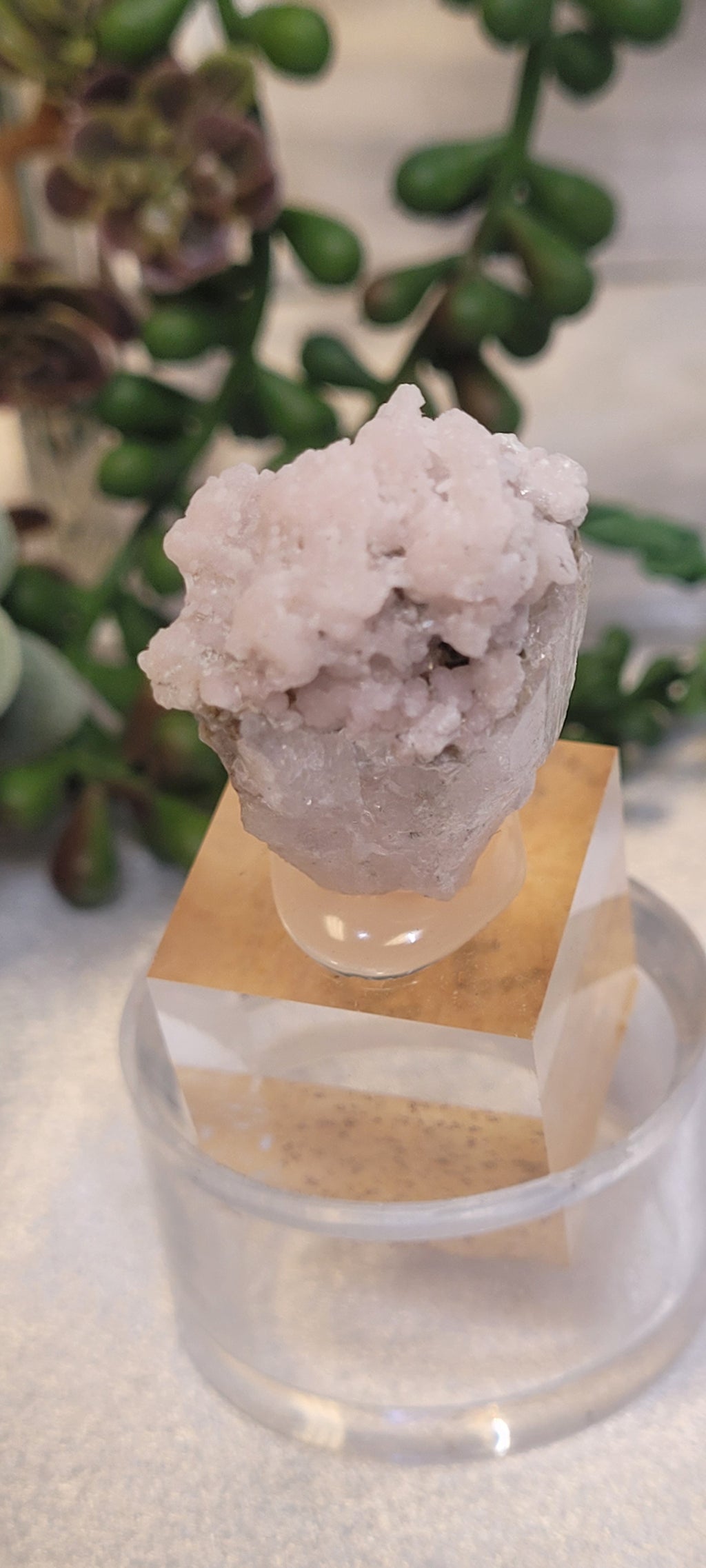Blush Druzy Quartz Specimen on Acrylic Display Stand