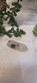 Candle Quartz with Galena • Mini Raw Quartz Crystal Point • 12g
