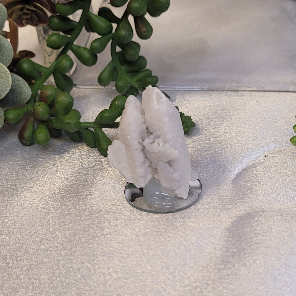 Botryoidal Chalcedony Mini Specimen