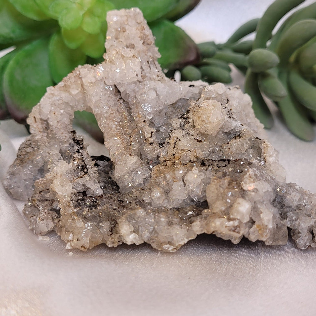 Cave Calcite Druzy Formation 🤍✨