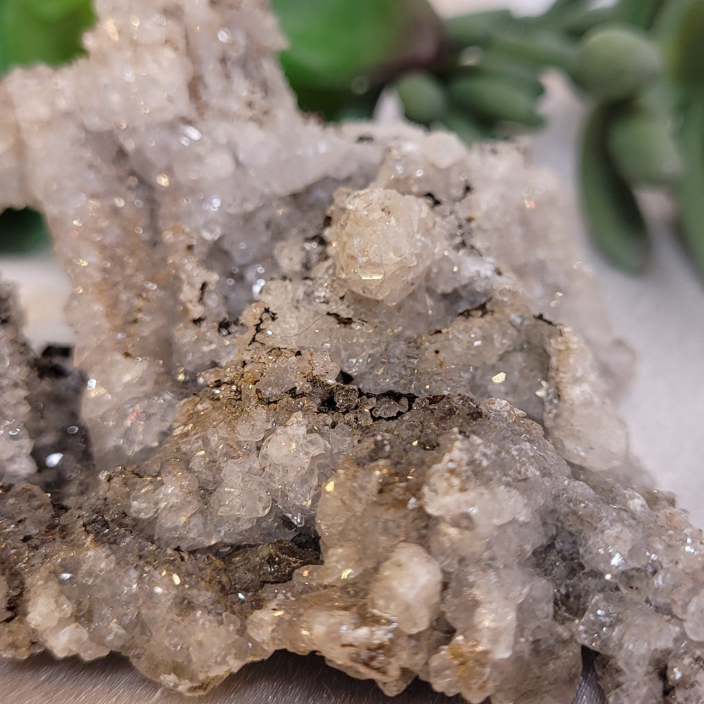 Cave Calcite Druzy Formation 🤍✨
