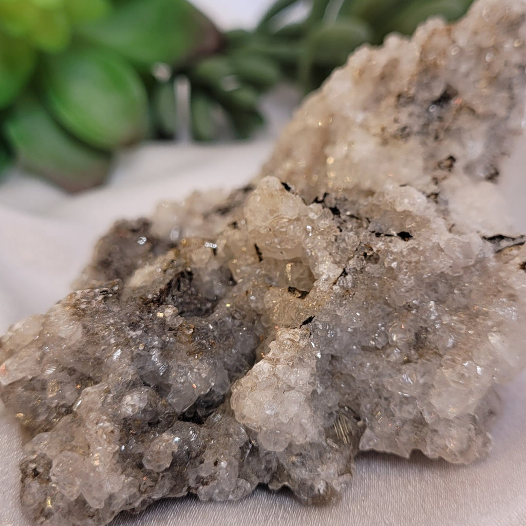 Cave Calcite Druzy Formation 🤍✨