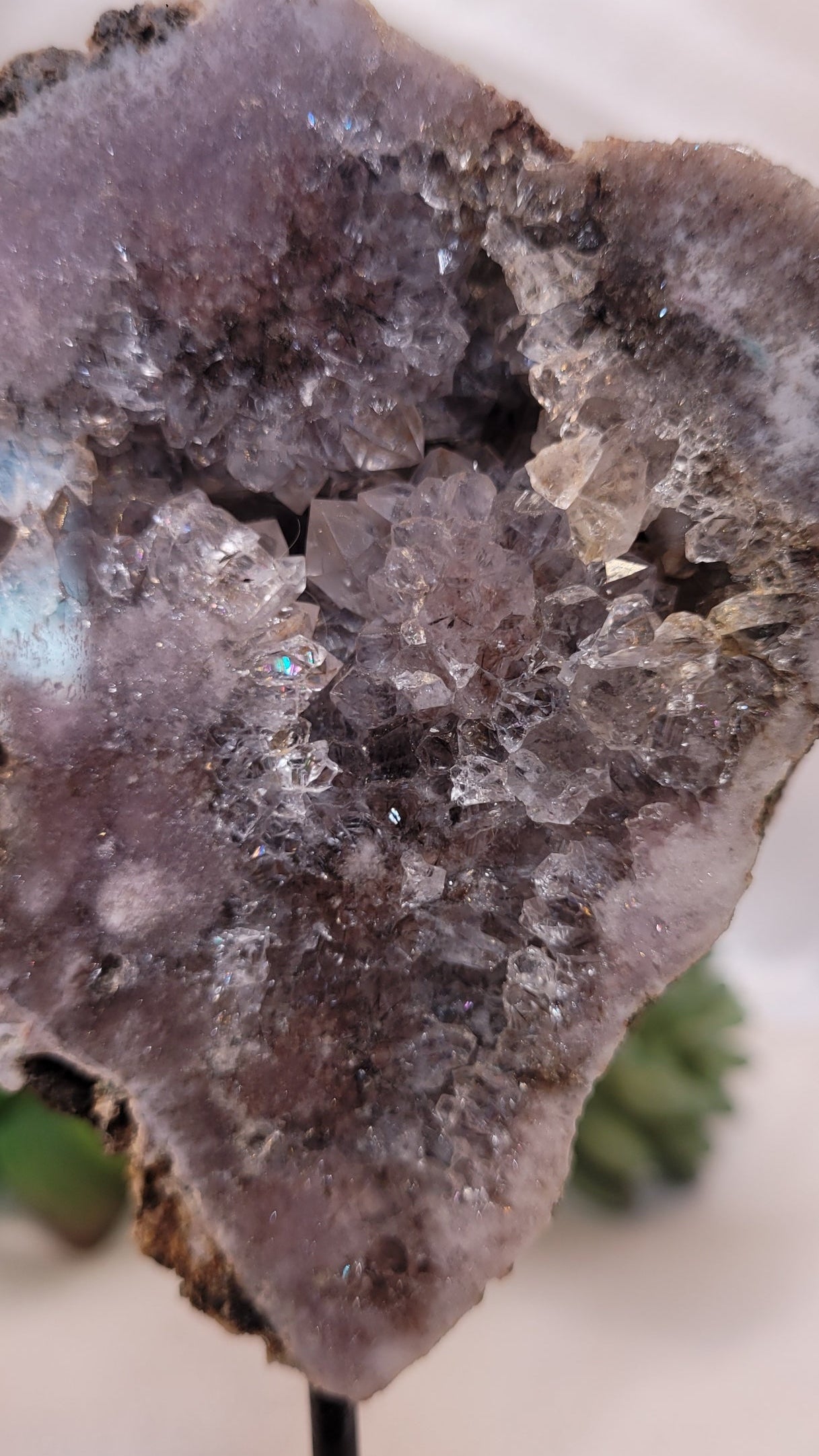 Amethyst Druzy Quartz Specimen on Stand