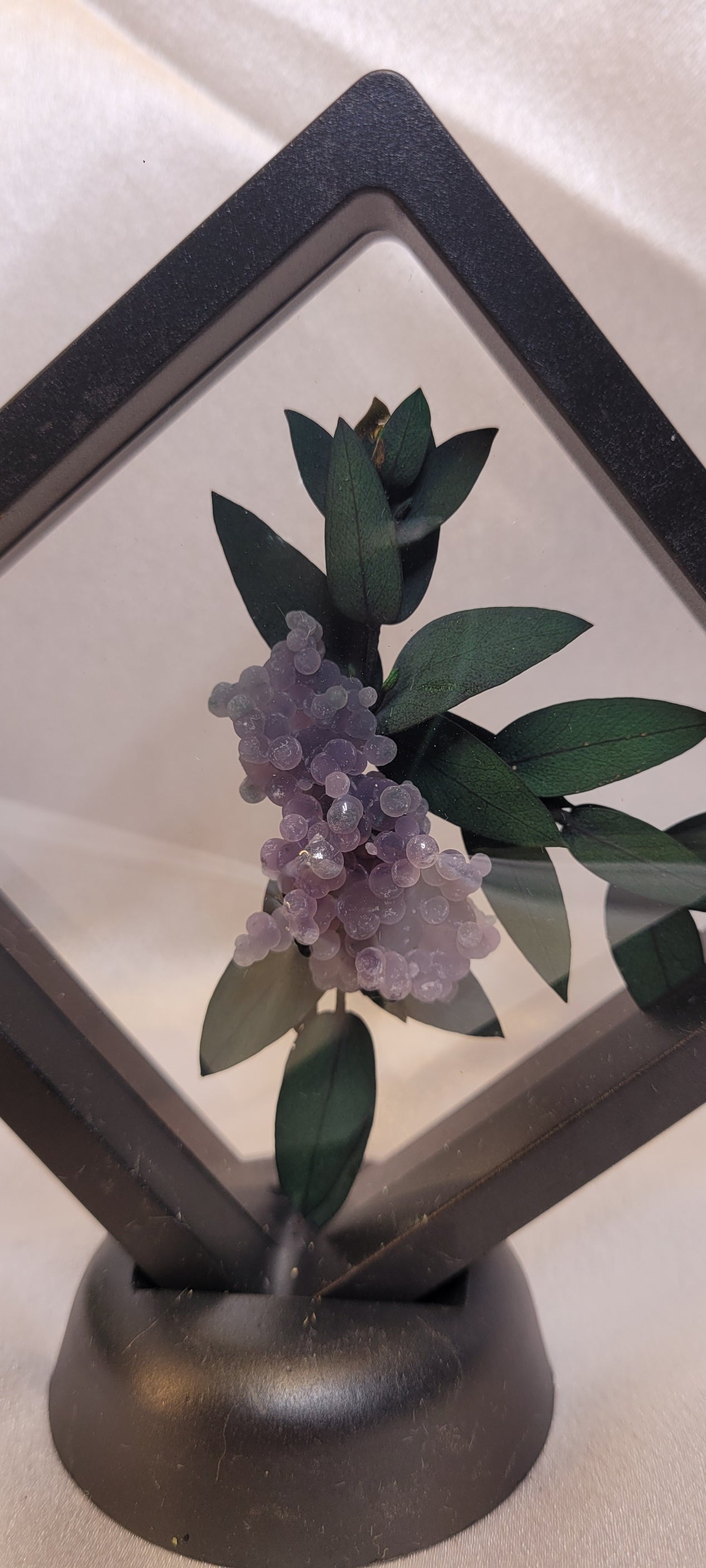 Grape Agate Botanical Curio Frame