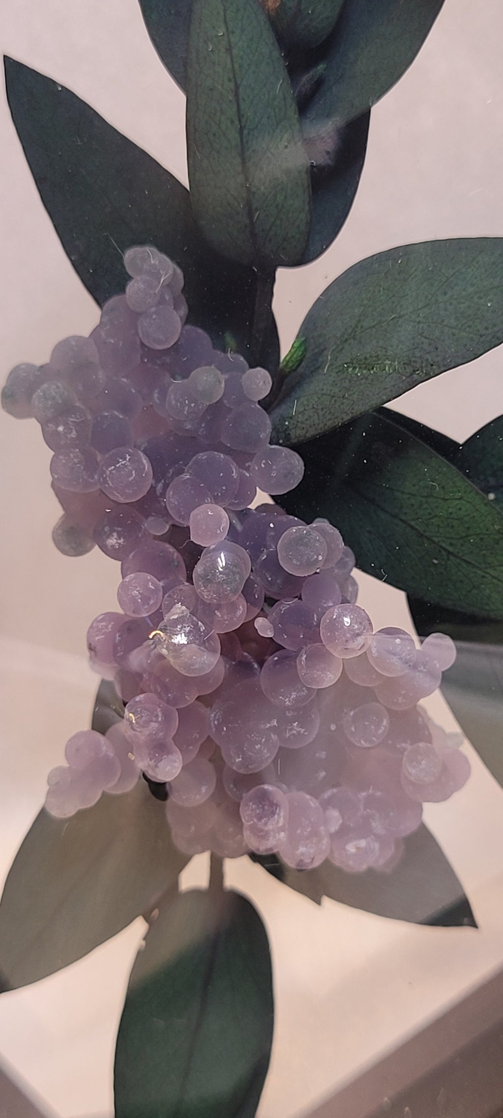 Grape Agate Botanical Curio Frame