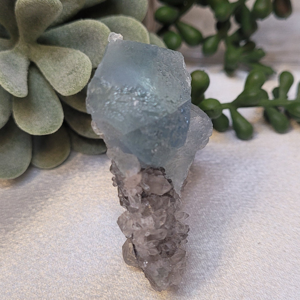 Blue Fluorite on Druzy Quartz Matrix
