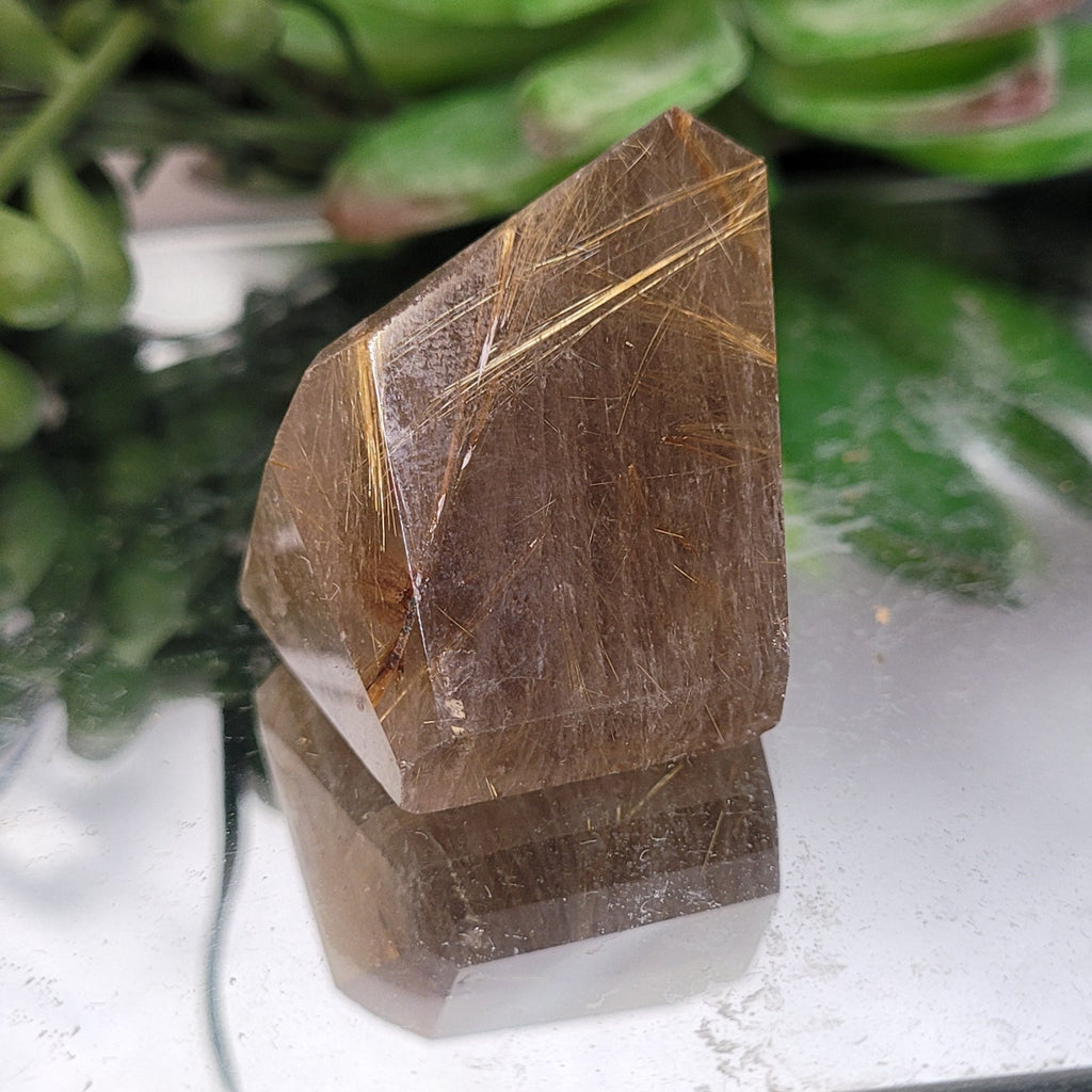 Golden Rutilated Quartz Freeform • 40g