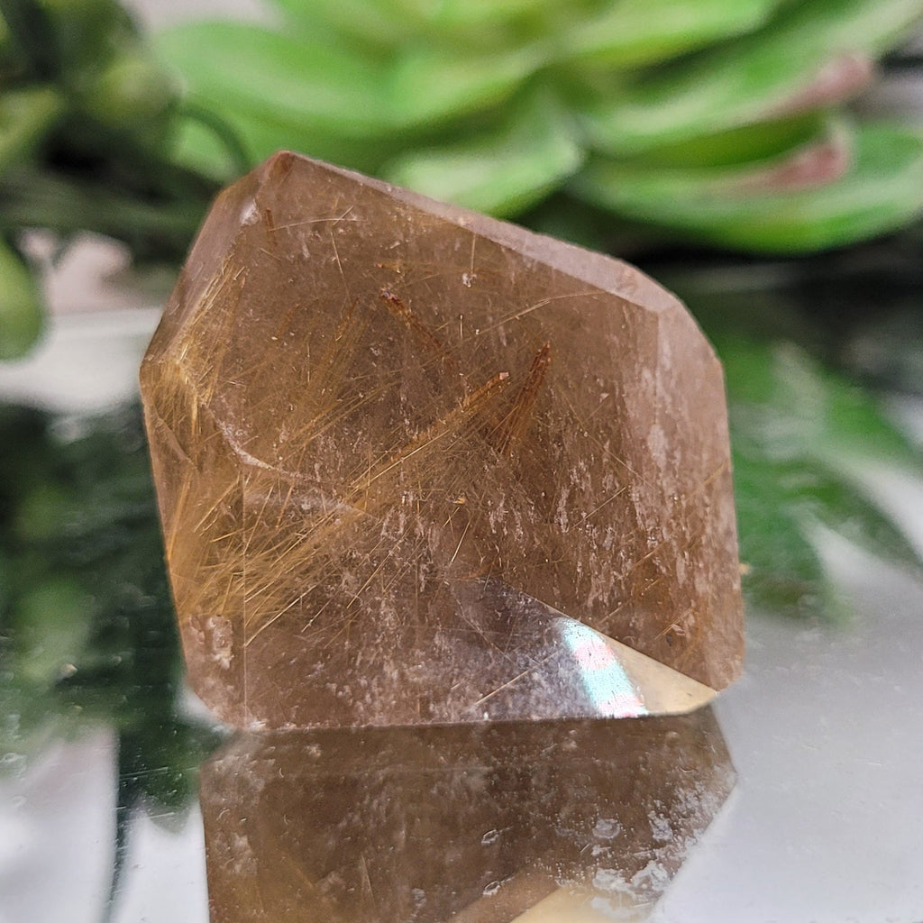 Golden Rutilated Quartz Freeform • 40g