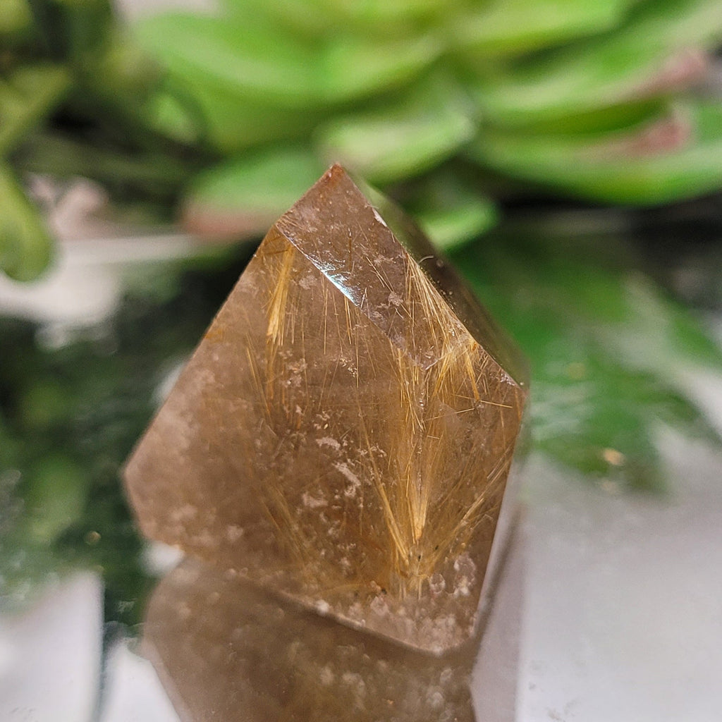 Golden Rutilated Quartz Freeform • 40g