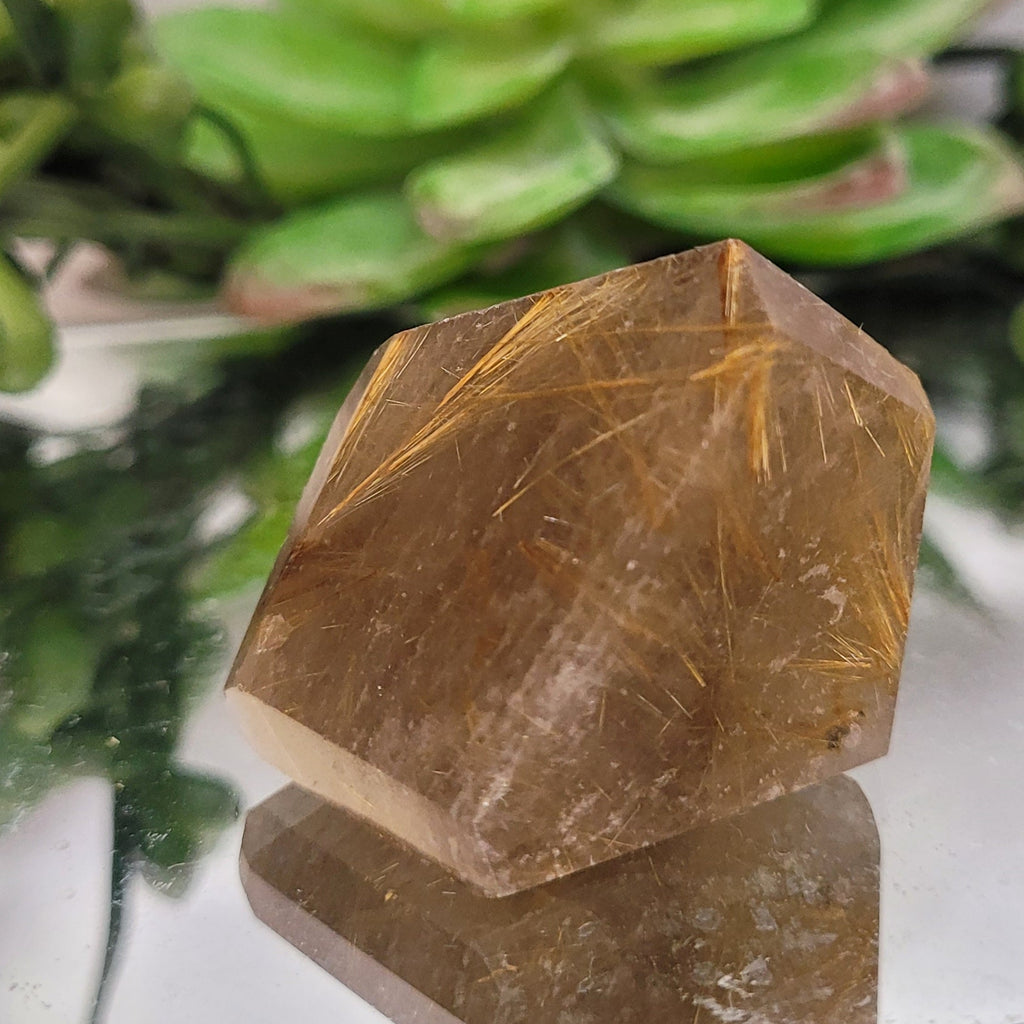 Golden Rutilated Quartz Freeform • 40g