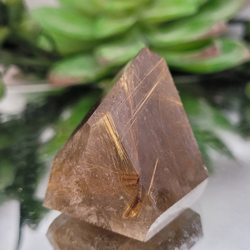 Golden Rutilated Quartz Freeform • 40g