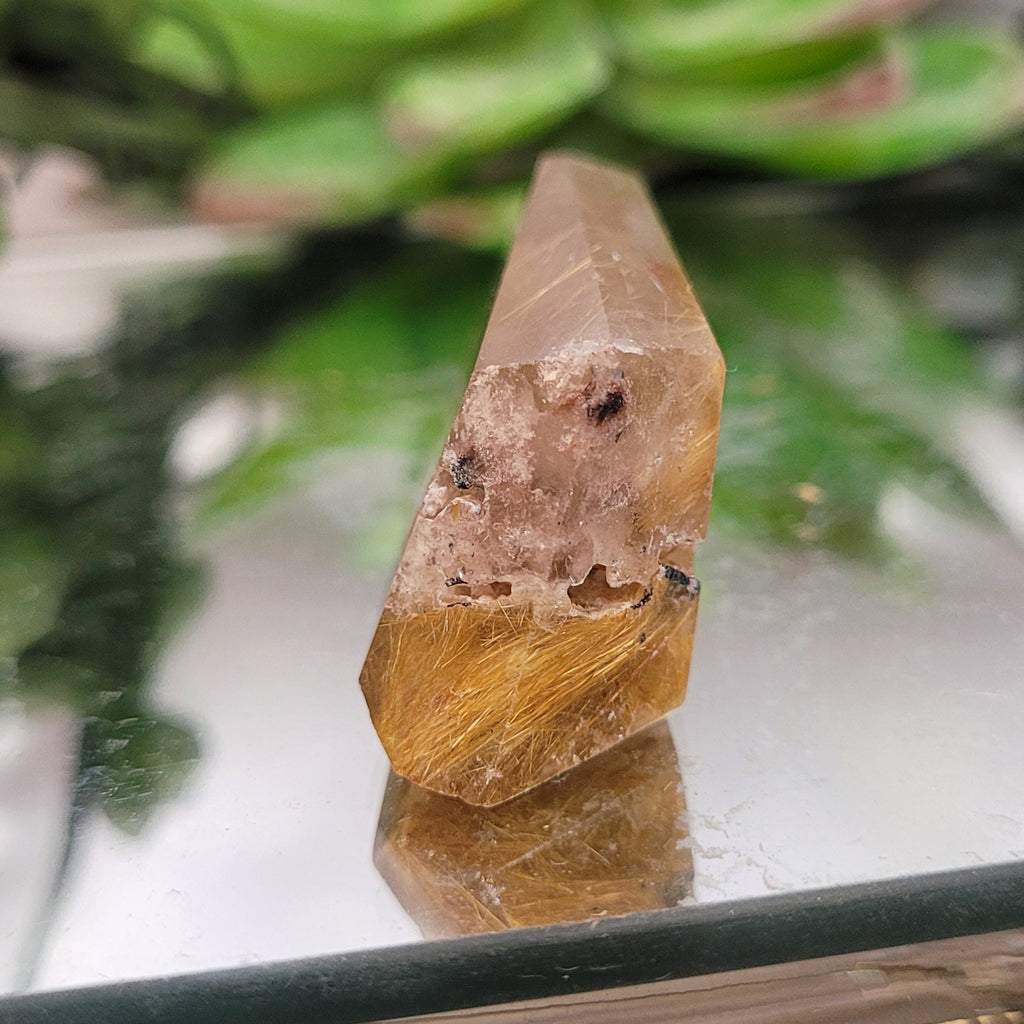 Golden Rutilated Quartz Freeform • 20g