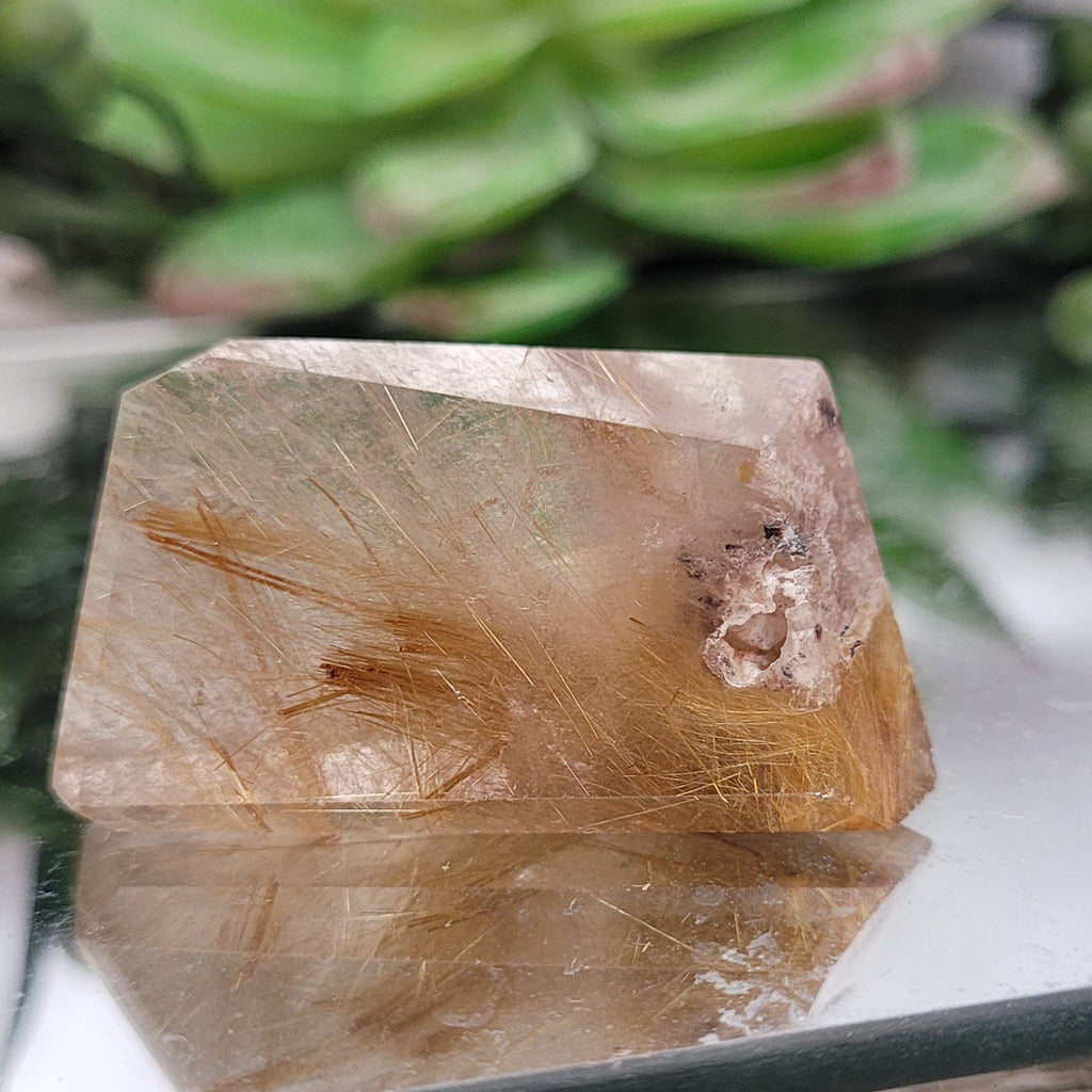 Golden Rutilated Quartz Freeform • 20g