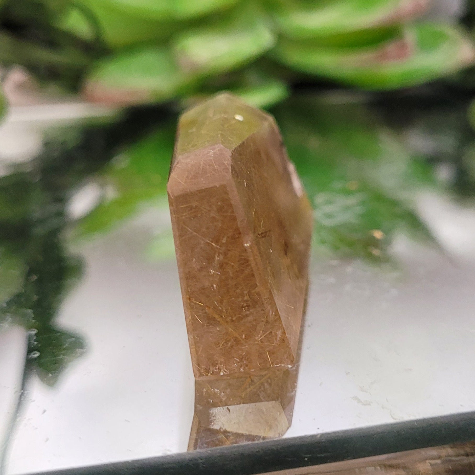 Golden Rutilated Quartz Freeform • 20g