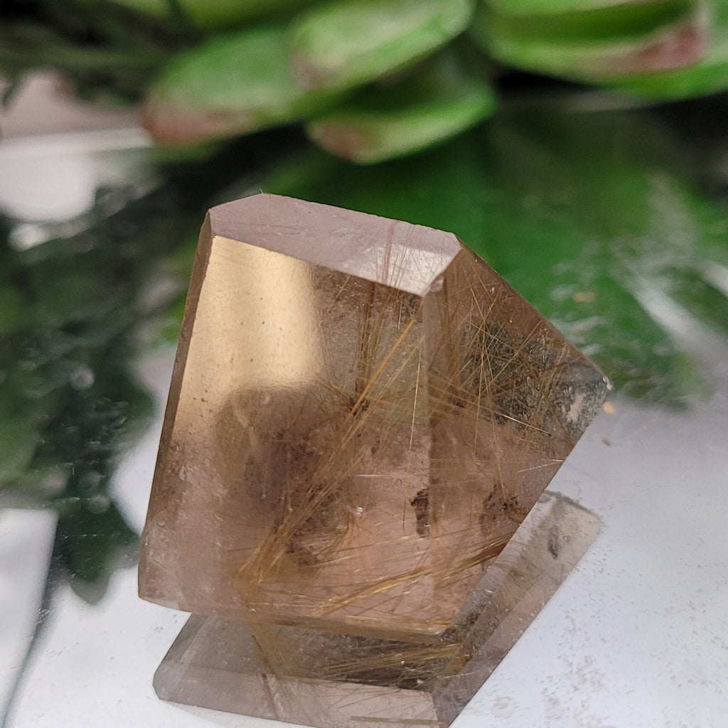 Golden Rutilated Quartz Geometric Freeform • 18g