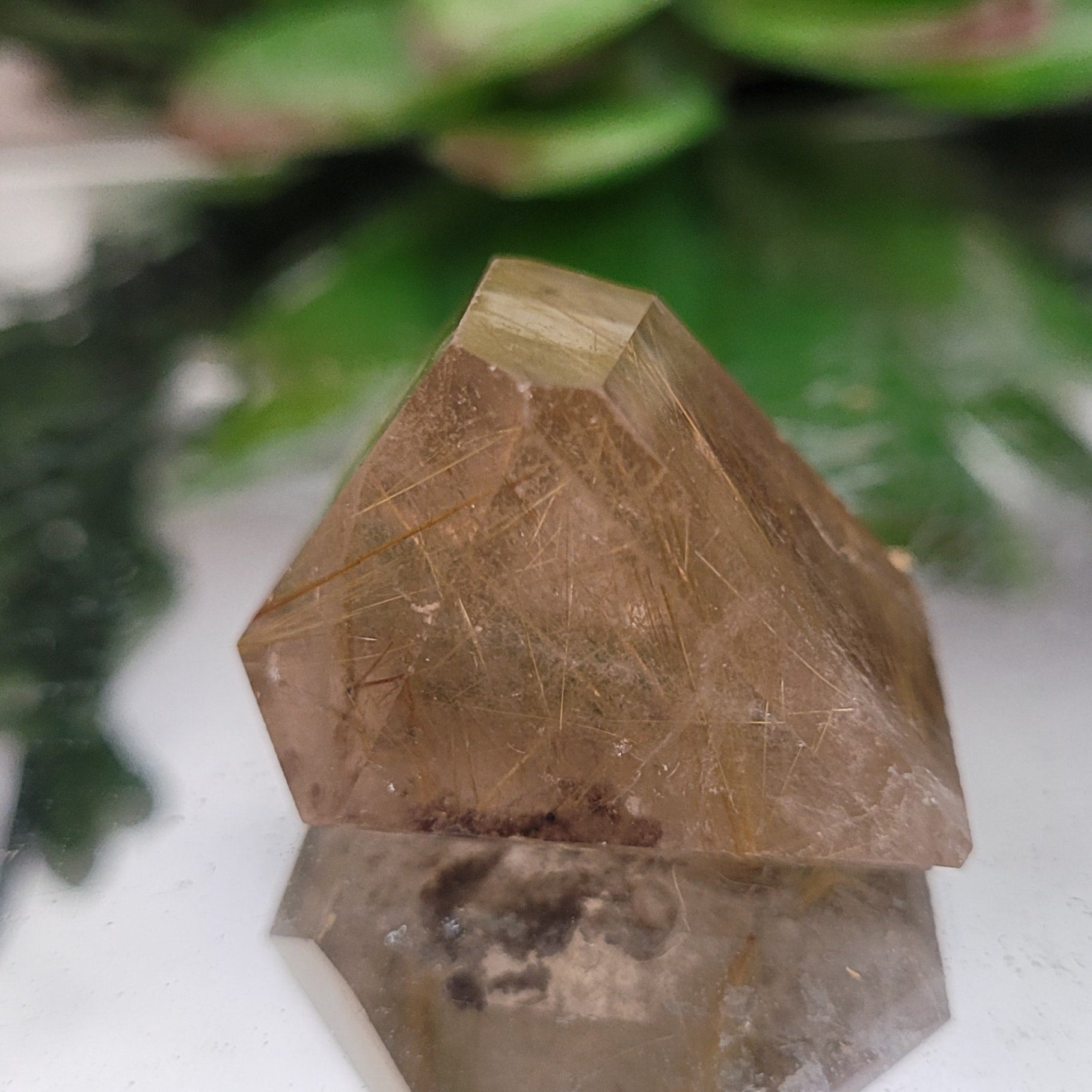 Golden Rutilated Quartz Geometric Freeform • 18g