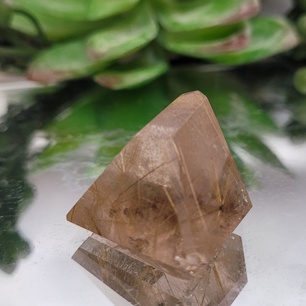 Golden Rutilated Quartz Geometric Freeform • 18g