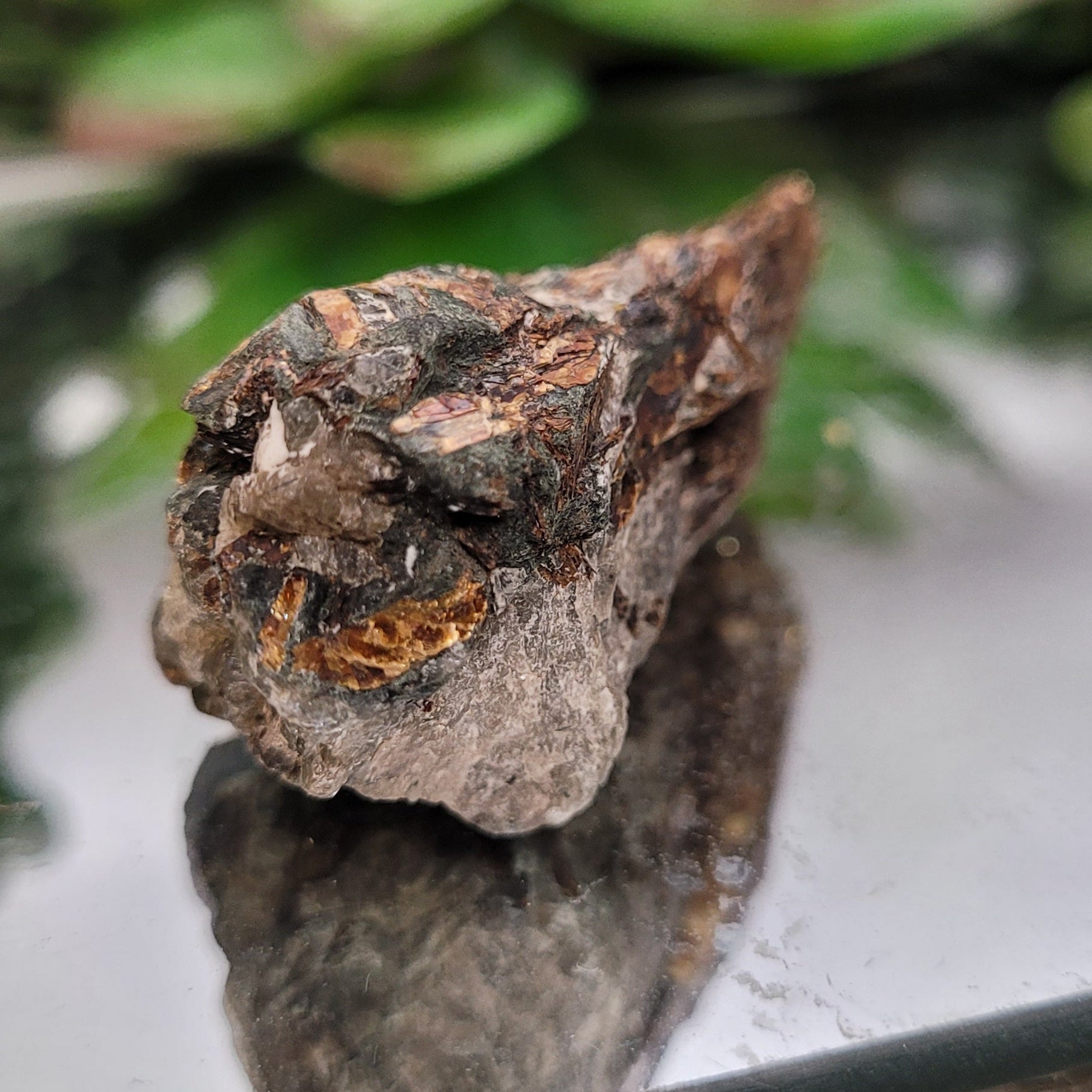 Astrophyllite Rough Specimen | Golden Starburst Crystal in Matrix | 28g