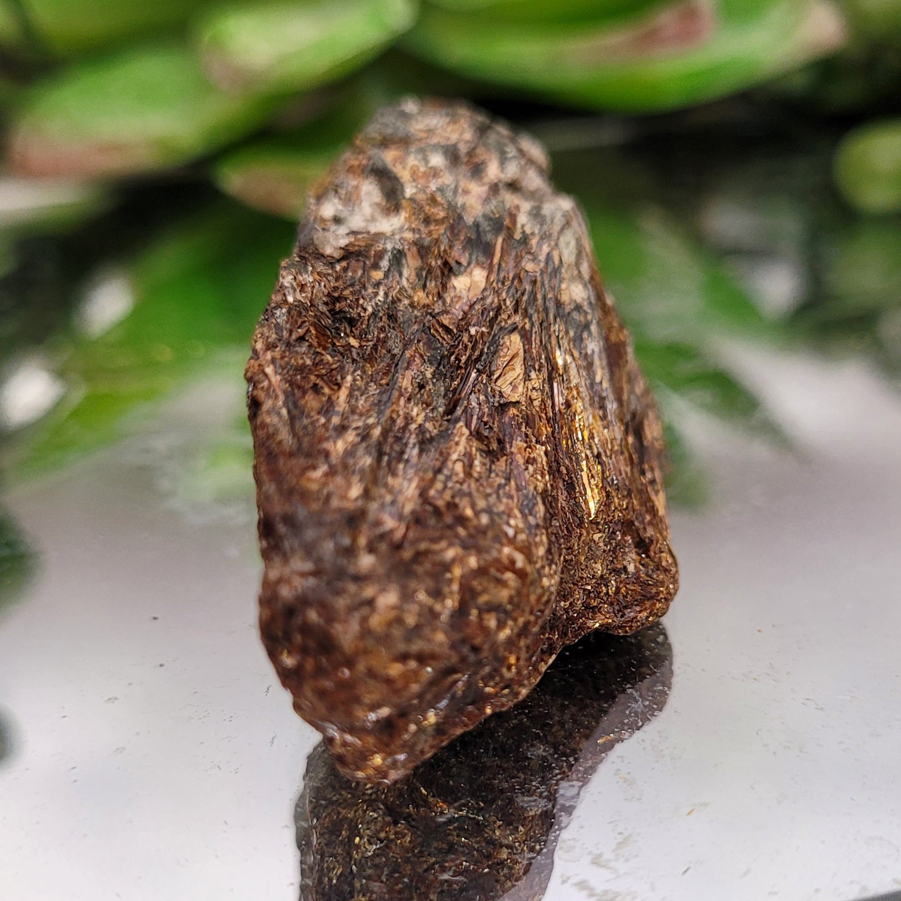 Astrophyllite Rough Specimen | Golden Starburst Crystal in Matrix | 28g