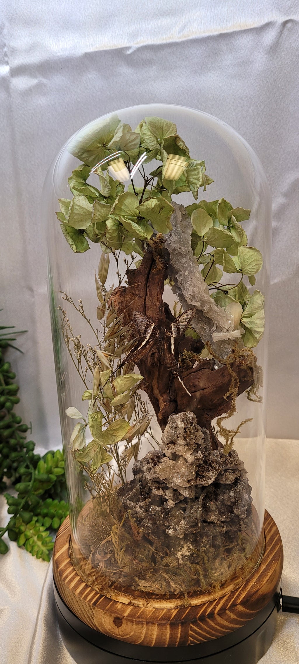 Whispering Grove Crystal Cloche