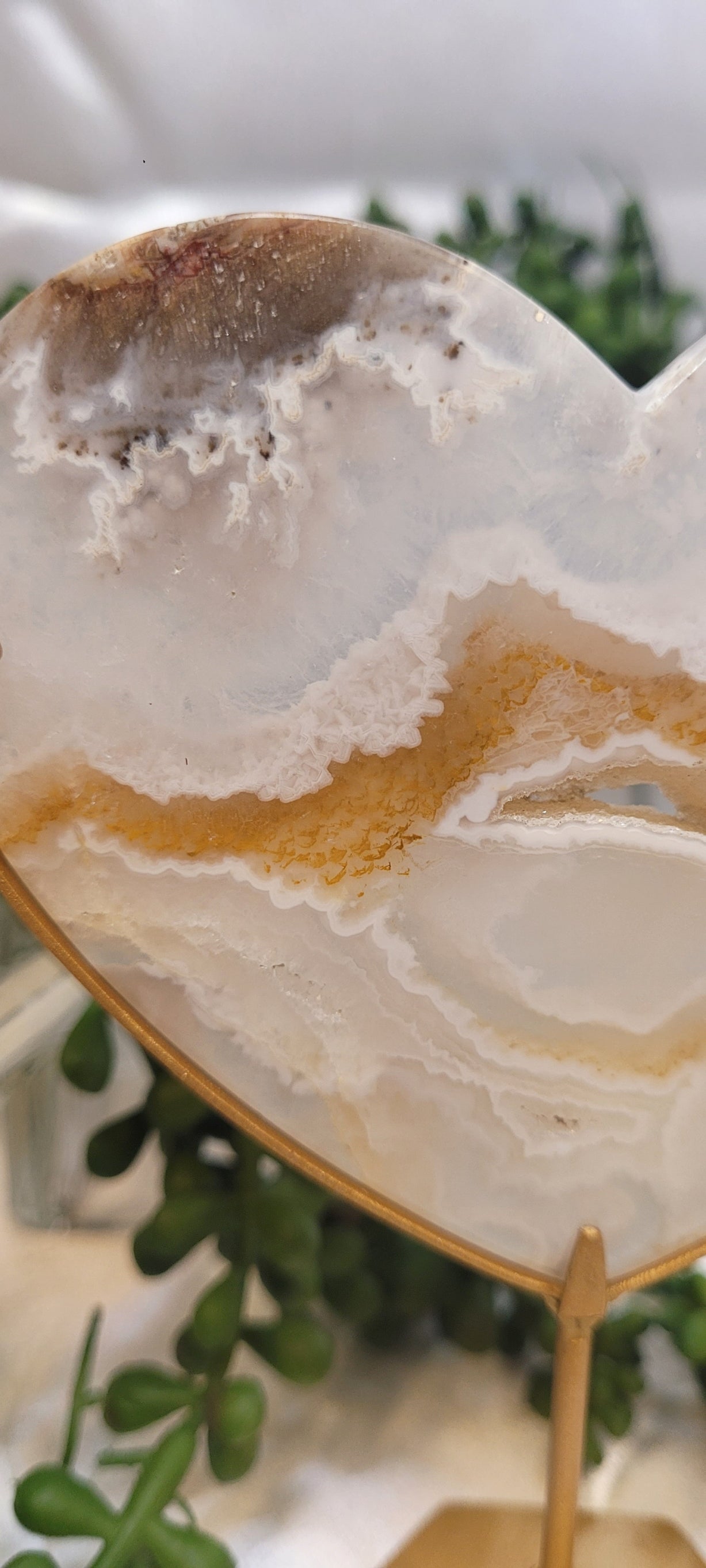 White Plume Agate Heart on Gold Stand | Scenic Druzy Agate Heart | 239g