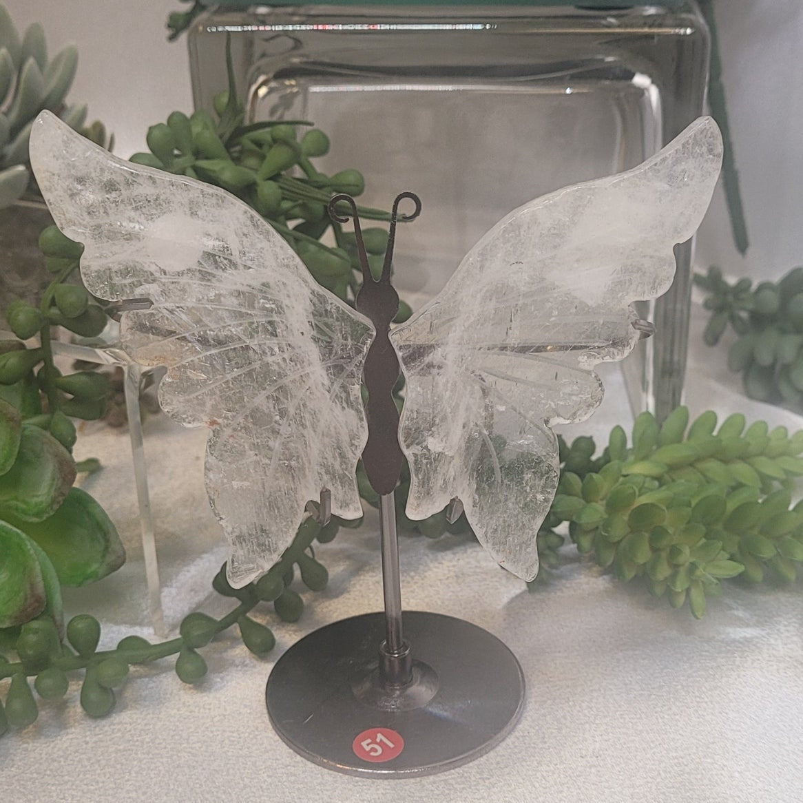Crystal Butterfly Wings on Stand
