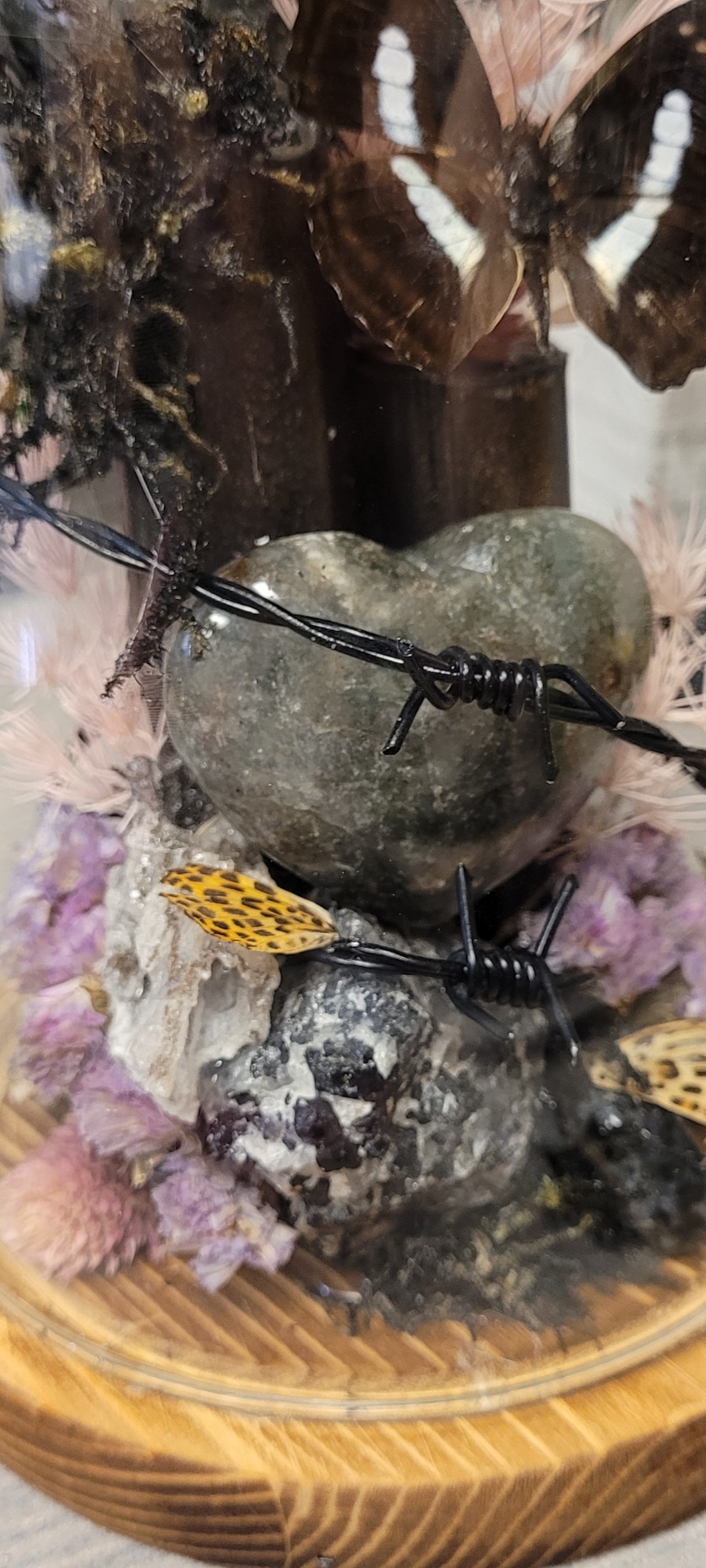 Midnight Reliquary Under Glass | Black Rose, Garden Quartz, Butterfly & Crystal Art Dome