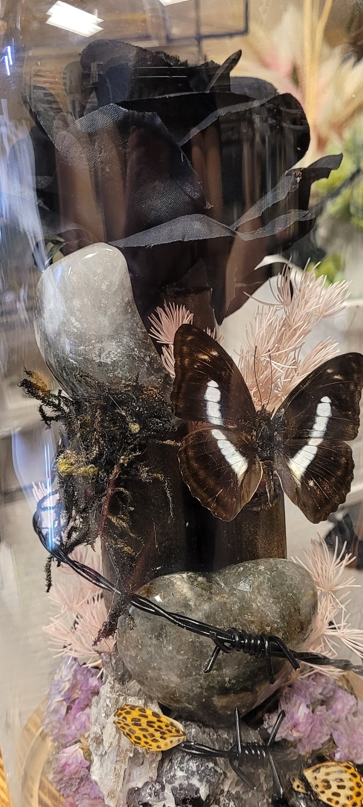 Midnight Reliquary Under Glass | Black Rose, Garden Quartz, Butterfly & Crystal Art Dome
