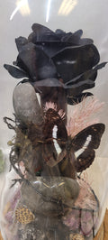 Midnight Reliquary Under Glass | Black Rose, Garden Quartz, Butterfly & Crystal Art Dome