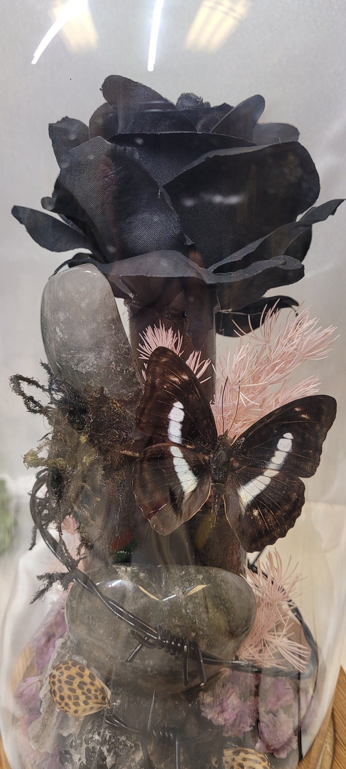 Midnight Reliquary Under Glass | Black Rose, Garden Quartz, Butterfly & Crystal Art Dome