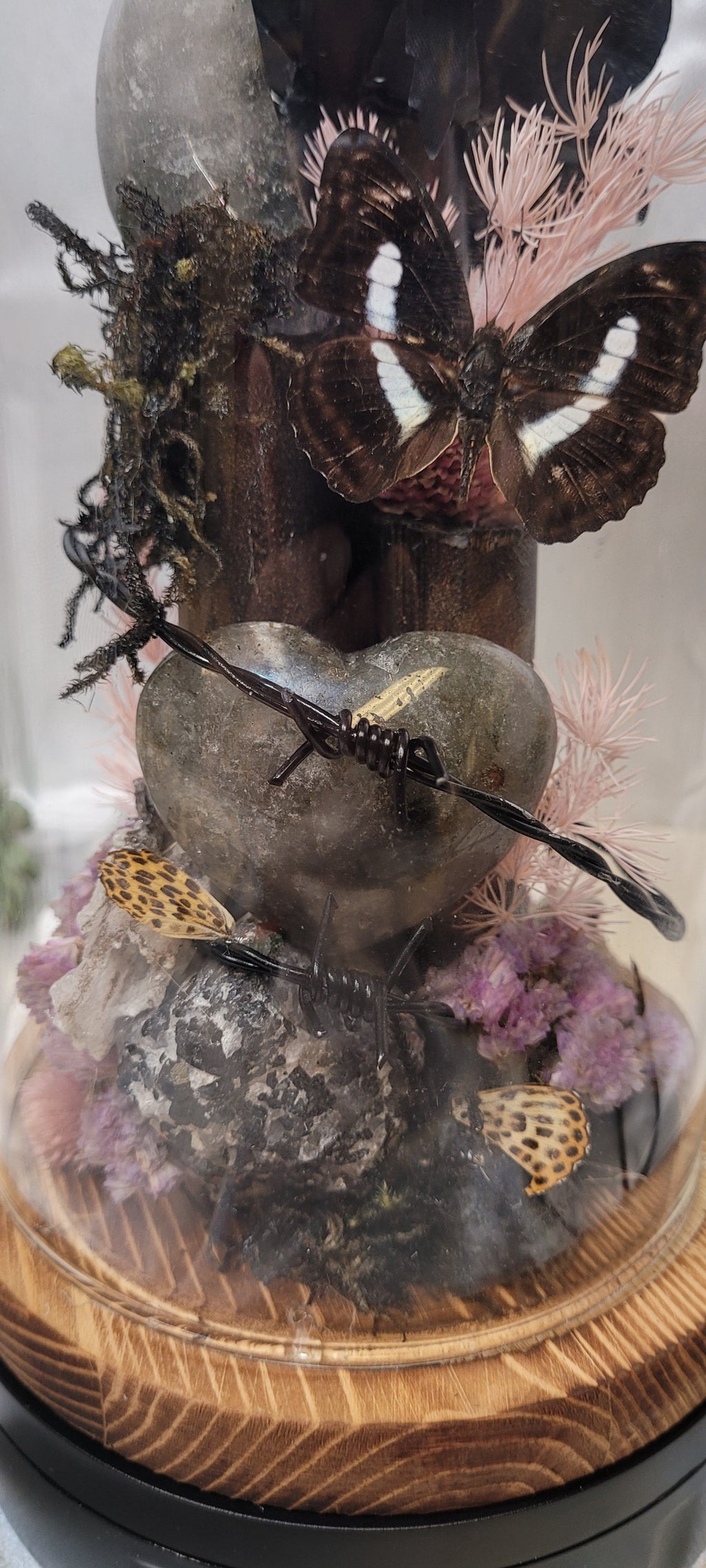 Midnight Reliquary Under Glass | Black Rose, Garden Quartz, Butterfly & Crystal Art Dome