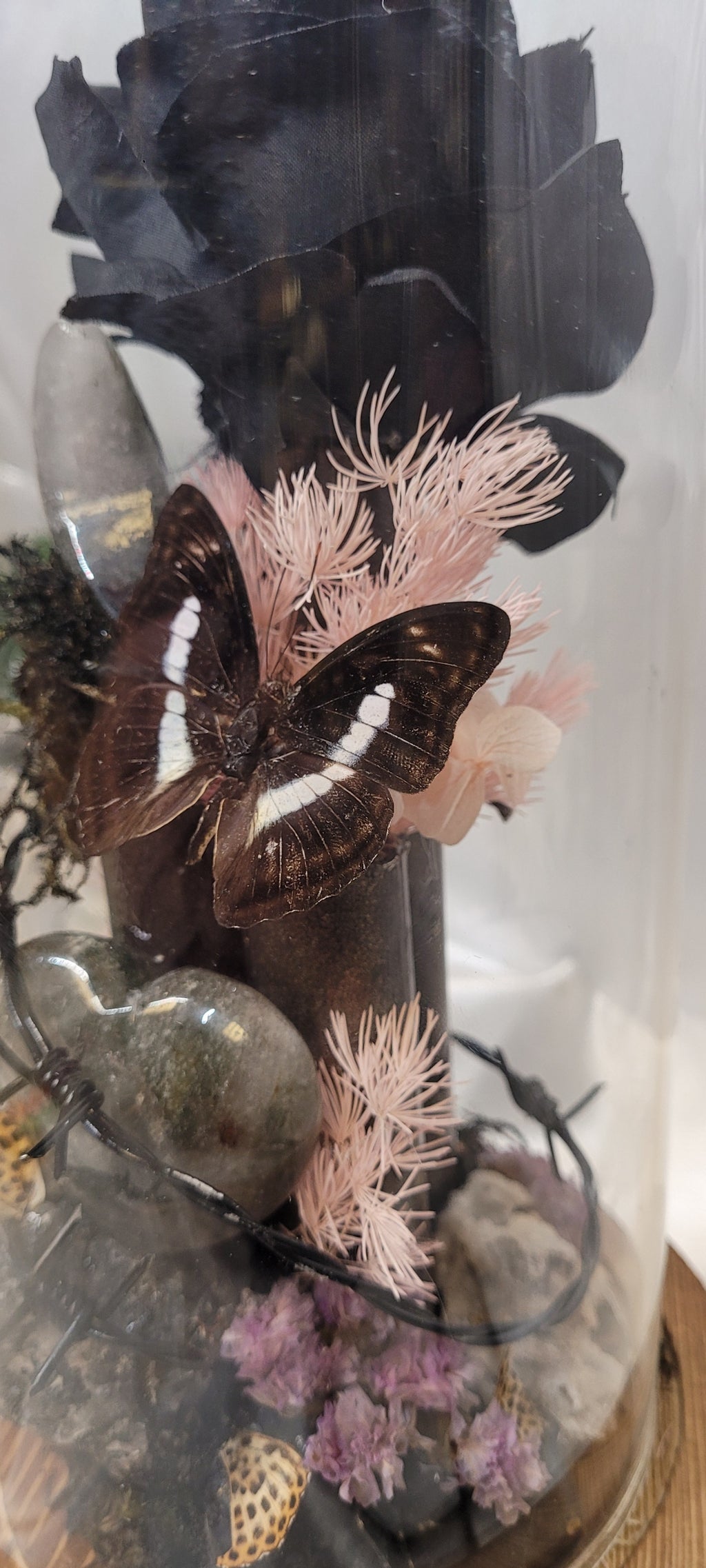 Midnight Reliquary Under Glass | Black Rose, Garden Quartz, Butterfly & Crystal Art Dome