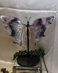 Amethyst Butterfly Wings on Stand | Large Crystal Display Sculpture | 8" Tall