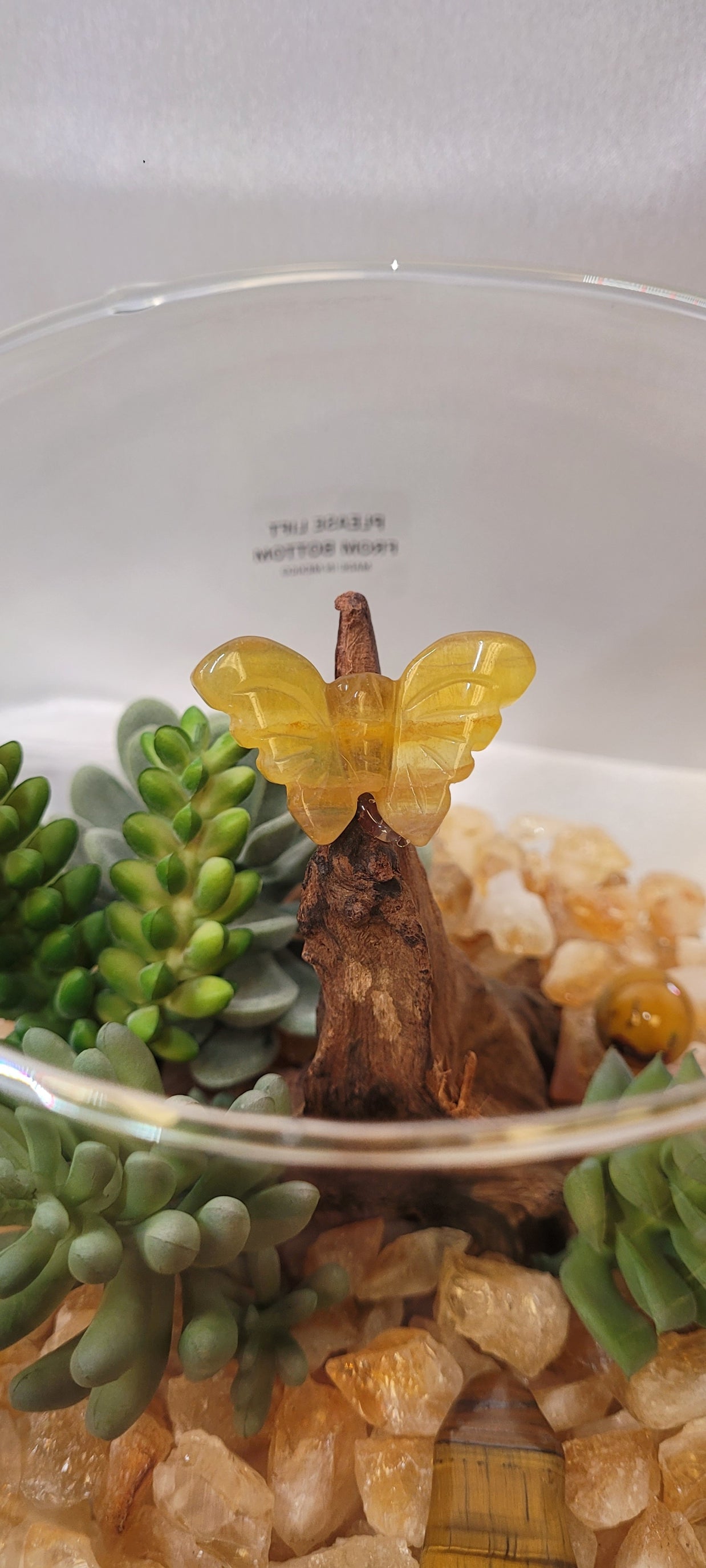 Butterfly Garden Crystal Display in Glass Bubble Bowl | Tiger's Eye, Fluorite Butterfly Carving & Golden Crystal Landscape