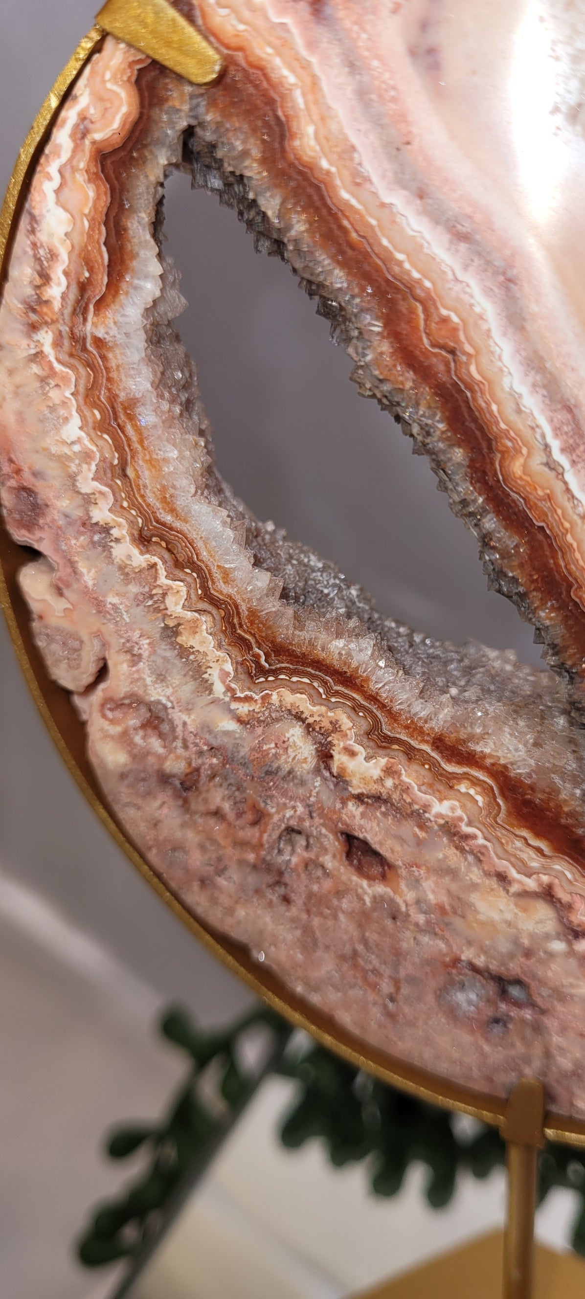 Pink Crazy Lace Agate Crescent Moon with Druzy Cente